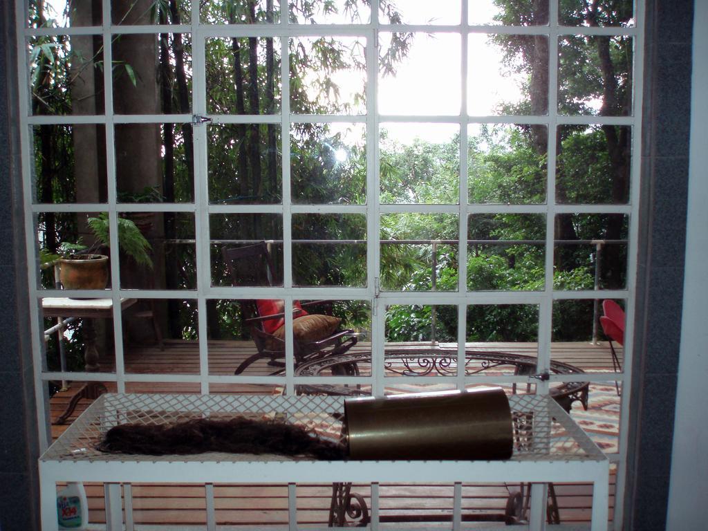 B&B Vitoria Regia Rio de Janeiro Phòng bức ảnh