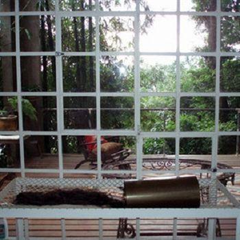 B&B Vitoria Regia Rio de Janeiro Ngoại thất bức ảnh